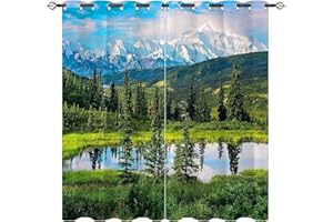 LKCD Verdunkelungsvorhänge, Landschaft Naturlandschaft Bergsee Wald Baum 234X230Cm Superweiche, Feste, Wärmegedämmte Öse - 2Er-Set, Schutzvorhänge Für Schlafzimmer, Kinderzimmer