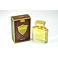 Invincible - perfume for men by Aris - Eau de Parfum, 100 ml