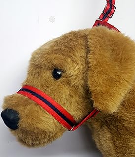 dog and field figure of 8 lead