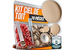 ASSURE AURA 70 Pièces Kit Réparation Ciel de Toit Voiture Beige – Rivets Plafond Auto + Agrafes + Tournevis + Mètre Ruban – Réparez Facilement Tissu de Toit Décollé – Compatible Tout Modèle