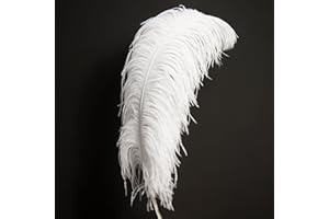 ROSEMARIE SCHULZ HEIDEBERG Eine Natur Straussenfeder Weiß ca. 60-70cm lang - Dekofeder, Karneval, Massage, Bastel Bedarf, DIY - Rosemarie Schulz HD Heidelberg