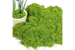 OFFCUP 50g Muschio Stabilizzato Muschio Finto per Decorazioni Muschio Artificiale Muschio Decorativo Lichene Stabilizzato Riutilizzabili per Modellismo Acquari Casa(50g Verde Chiaro)