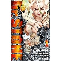 Dr. Stone - Tome 01. Stone World (Dr. Stone (1): Amazon.co.uk