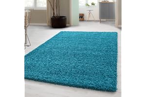 ‎CARPETSALE24 Carpetsale24 Shaggy Hochflor Teppich Wohnzimmer 140 x 200 cm Türkis - Moderner, Flauschiger Langflor Teppich – Weicher Carpet für Schlafzimmer, Esszimmer & als stilvoller Küchenteppich