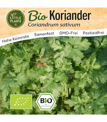Semillas De Cilantro (Eryngium Foetidum) - Paquete De 100 Semillas, Ideal Para Huerto Casero Y Cocina