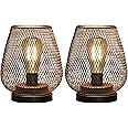 JHY DESIGN Set of 2 Metal Cage Table Lamp Battery Powered, Cordless Accent Lights with LED Edison Style Bulb for Bedroom Home Weddings Parties Patio Indoors Outdoors Valentine's Day(Egg Shape)