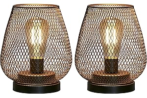 JHY DESIGN Set of 2 Metal Cage Table Lamp Battery Powered, Cordless Accent Lights with LED Edison Style Bulb for Bedroom Home Weddings Parties Patio Indoors Outdoors Valentine's Day(Egg Shape)