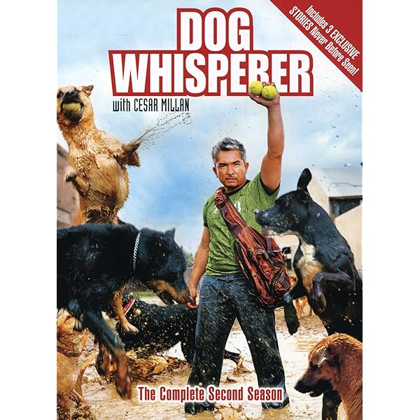 その他 Dog Whisperer With Cesar Millan: Comp Second [DVD] [Import] bme6fzu その他 Dog Whisperer With Cesar Millan: Comp Second [DVD