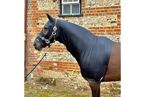 Snuggy Hoods Ltd Shiny Show Hood - Stretch Lycra Horse Hood - 2 Colours - 8 Sizes (Navy, XS - Pull On)