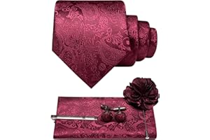JEMYGINS Cravatta da uomo Paisley con fazzoletto da taschino, fermacravatta con fiore e gemelli