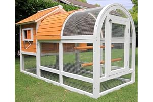 Pets Imperial® Yellow Claridge Chicken Coop - Ark Poultry Nest Box - Chicken House with Sliding Tray & Opening Roof - Integrated Chicken Run