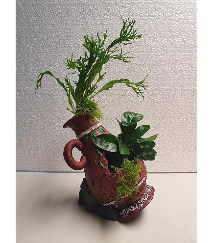 Produktbild von Mangrovenwurzel Auf Schieferplatte Mit Gr. Mooskugel Ca.45cm Lang Und