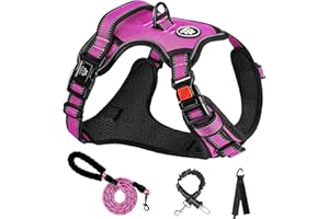NESTROAD Imbracature con Pettorina Cane ad h Anti Tiro Rosa Rosso per Cani Taglia Piccola, Taglia S per Piccola Cani con Collo 28~38CM Petto 38~53CM, Cintura Sicurezza Cani Auto, Accessori Cani