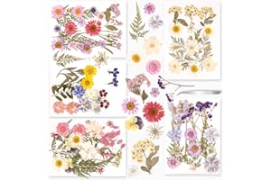 Fyshird 5 Packungen Natürliche Getrocknete Blumen Gemischte Gepresste Blumen Trockenblumen zum Basteln Klein mit Pinzette Getrocknete Blüten für DIY Kerze Scrapbook Karten Schmuck Epoxidharz Zubehör