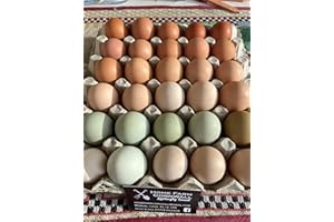 HOME FARM CORNWALL Free to Range Hen Eggs (18)