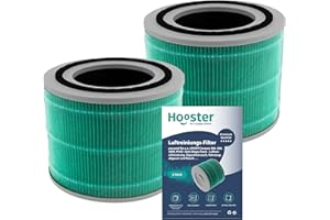 HOOSTER 2er-SET Filter Toxin-Absorber kompatibel mit LEVOIT H13 Core 300s / Core 300 | HEPA Ersatzfilter gegen Luftverschmutzungen wie Rauch und Abgas