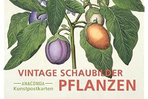 Postkarten-Set Vintage-Schaubilder Pflanzen: 18 Kunstpostkarten aus hochwertigem Karton. ca. 0,28€ pro Karte (Anaconda Postkarten, Band 88)
