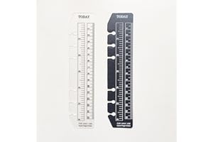 ZELTEN A6 6 fori Raccoglitore Cartella Organizzatore Slide-in Plastica Segnalibro Divisori Righello (Black and Clear set1, A6)