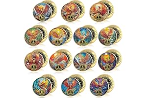 Blueweenly 14 Pcs Sobriety Coin Gifts Sobriety Chip AA Chips and Medallions 24hr Newcomer 1-11 Months Recovery Anniversary Token Alcoholics Anonymous Sober Gifts for Men & Women (Phoenix)