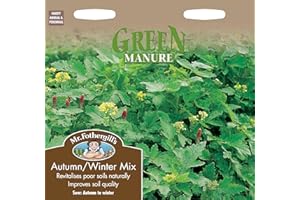 MR FOTHERGILLS Mr Fothergill's 18544 Vegetable Seeds, Green Manure Autumn/Winter Mix