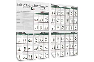 ‎INTENSIC SPORTS intensic SPORTS Stretching + Mobility Poster | 60 Fitness-Übungen zum Dehnen und Mobilisieren I Mehr Beweglichkeit ohne Gerät für Fitnessraum zuhause Bodyweight Home-workout Trainingsplan Sport-poster