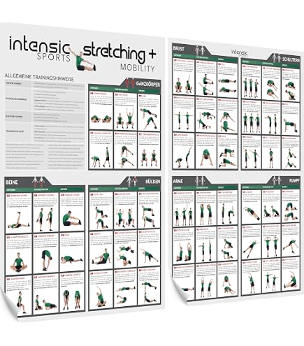 Zonas De Entrenamiento Y Umbrales | Póster Laminado Para El Hogar Y El Gimnasio | Soporte Gratuito De Entrenamiento De Video En Línea | Tamaño