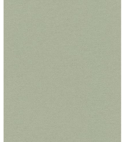 Rasch Vincenza 467543 Papier peint non tissé Beige Motif béton 10,05 m