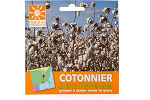 Radis et Capucine - Sachets Graines Exotiques À Semer - Cotonnier De Louisiane