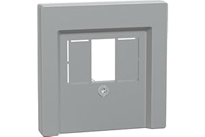 Schneider Electric Merten 297960 Zentralplatte für TAE Audio USB, Aluminium, System M, Made in Germany