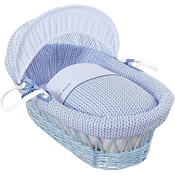 dumbo moses basket