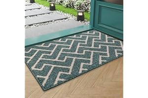 ‎BISCPRO Biscpro Fußmatte mat,schmutzfangmatte innen 50x80cm rutschfest Fußmatten, Teppich Waschbar in Waschmaschine Innen & Außen türmatte,für Eingangsbereich,Aussenbereich,Fussmatten Haustür
