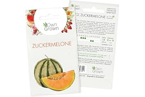 Zuckermelone Samen: Premium Melonen Samen für 15 Zuckermelonen Pflanzen – Melonensamen der süßen Sorte Charentais – Charentais Melone Samen, Saatgut Melone, Obst Samen – Zuckermelonen Samen OwnGrown