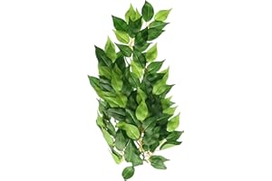 Hagen Exo Terra Silk Fiscus Plant Med