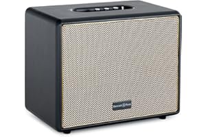 Bennett & Ross BB-880BK Blackmore Giant Haut-Parleur Bluetooth rétro en Cuir - Haut-Parleur Vintage avec 2X 40W - Speaker Entrée USB avec Lecteur MP3 - Fonction stéréo True Wireless - aux-in - Noir