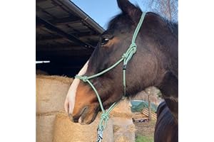 PFERDELINIS Cavezza per nodi per lavoro a terra, cavallo – Cavezza per nodi Cob ideale per lavoro libero, lavoro a terra, guida o carico (purosangue (Cob), verde-bianco)