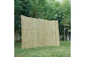 casa.pro Bambufistaket, Baarle, insynsskyddsstaket, balkongbeklädnad, bambumatta som vind- och insynsskydd för trädgård, balkong, terrass (H x B), 200 x 500 cm, natur
