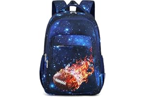 LEDAOU Plecak szkolny, dla chłopców, nastolatków, dziewcząt, tornister szkolny, wodoszczelny, lekki, duży, do szkoły, na prezent