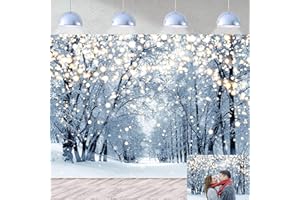 CINRAY Toile de fond d'hiver pour photographie - 2,1 x 1,5 m - Blanc pailleté - Paysage de forêt et de neige - Paysage de paysage pour famille, Noël, vacances, portrait - Accessoires de studio photo