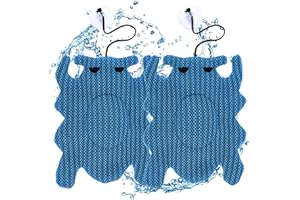 Dechoga Absorber Filter, 2 Stück Pool Absorber, Spinnenöl Schaumstoff ölabsorbierender Schwamm, Starke Adsorptionskapazität Schaumabsorber Spa Reiniger für Poolreinigung, Öl, Schleim, Schmutz