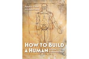 How to Build a Human: In Seven Evolutionary Steps