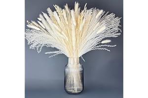 NINA-MARIA'S DEKO GOLD Bouquet di Fiori Secchi Decorativi XXL – Pampas Decorative Alte per Vaso – Composizione Fiori Essiccati Naturali Stile Boho per Arredo Casa Moderna