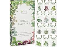 Kit Semillas Hierbas: 12 Variedades de Hierbas Aromaticas para plantar – Semillas Huerto – Albahaca, Tomillo, Cilantro – Plan