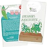 Zuckererbsen Samen: Premium Zucker Erbsen Samen für Kinder und Erwachsene – Gemüse Samen für ca 10x Zuckerschoten Pflanze – Z