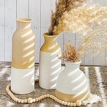 Moderne boerderijvazen (set van 3) - Boho vazen voor pampasgras, eucalyptus, droge bloemen en planten | plankdecoratie, schoorsteendecoratie, tafelstuk Moderne boerderijvazen (set van 3) - Boho vazen voor pampasgras, eucalyptus, droge bloemen en planten | plankdecoratie, schoorsteendecoratie, tafelstuk