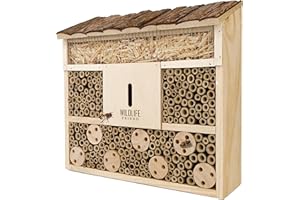 WILDLIFE FRIEND | Bee hotel Insect hotel with wooden roof - untreated, beehive made of solid wood for bees, ladybirds & lacewings, insect house & nesting aid to hang up