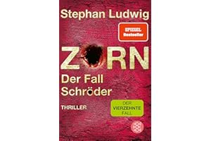 Zorn – Der Fall Schröder: Thriller