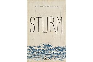 Sturm: Ein Jugendroman über Klimaschutz ab 14 Jahren