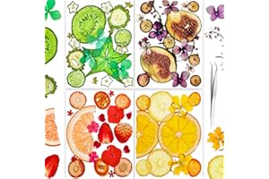 YoothBro 70PCS+ Véritable Nature Sec Pressé Fleur de Fruit pour Moule en Résine, Sec Pressé Floral pour Bricolage Bijoux Faire Ongles Carte Scrapbooking Art Bright Fruit