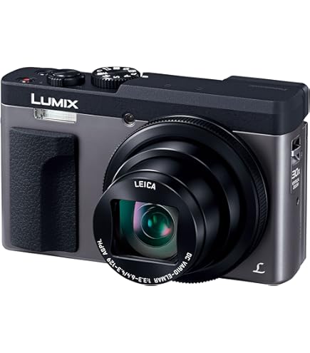 美品✨Wi-Fi搭載✨Panasonic LUMIX DC-TZ90　10482 概要 デジタルカメラ DC-TZ90 | LUMIX（ルミックス） ミラーレス