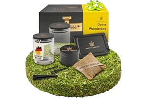 PURPLE LEGACY® Scatola in legno di pino con serratura a combinazione | Scatola portaoggetti multifunzionale con contenitore in vetro e accessori | Set regalo